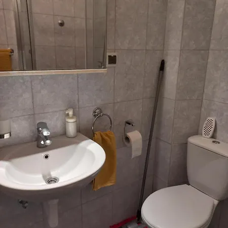 Nine Roses Apartment *