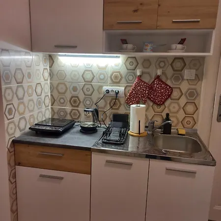 Nine Roses Apartment Belgrade